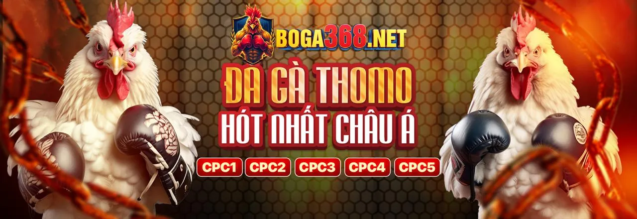 Đá Gà Trực Tuyến loto66 code